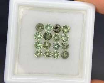 Natural Ludwigite Needles in Peridot Lot 1.81 Carat 3x3 MM Round Shape Faceted Rutile Peridot Gemstone 16 Pieces Lot