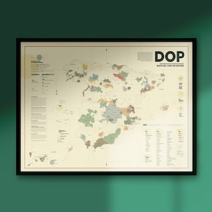 Mapa infográfico DOP vinos España | Infographic map DOP wines Spain