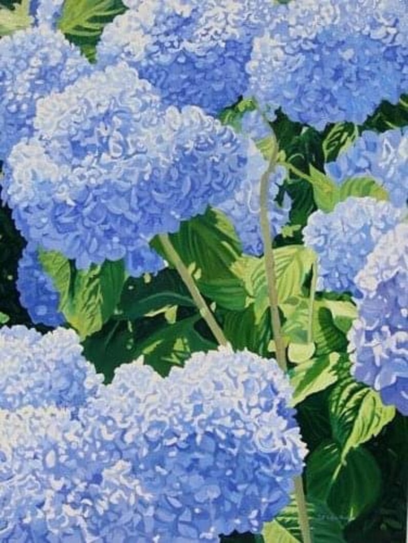 ver. 2 Hydrangea Custom Print
