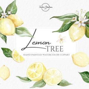 Citroenboom aquarel clipartset | Handgeschilderde aquarel citroenvruchten, groene bladeren en bloesems, mediterrane kunst, bundel, png