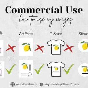May include: An informational graphic with the text "Commercial Use" and "how to use my images." It shows examples of acceptable and unacceptable uses for cards, art prints, t-shirts, and stickers. The image includes the Etsy shop name.