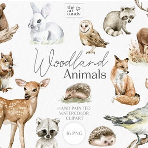 Clipart aquarelle animaux de la forêt | Animaux de la forêt PNG - Cerf, renard, ours, hérisson, hibou, écureuil, raton laveur | Clipart automne dans les bois