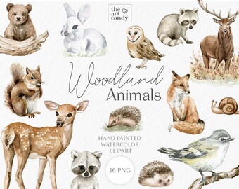 Animales del bosque acuarela Clipart / Animales del bosque PNG- Ciervo, Zorro, Oso, Erizo, Búho, Ardilla, Mapache / Otoño en el Bosque Clipart