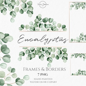 Aquarel eucalyptus frames en randen clipart png | Handgeschilderde aquarel botanische groene bladeren en gouden lijst | Eucalyptusbruiloft