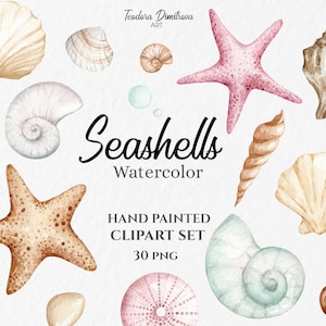 Watercolor Tropical Clipart Seashells PNG | Hand Painted Clipart Under the Sea | Digital Download | Summer Clipart | Beach Wedding Clipart