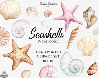 Watercolor Tropical Clipart Seashells PNG | Hand Painted Clipart Under the Sea | Digital Download | Summer Clipart | Beach Wedding Clipart