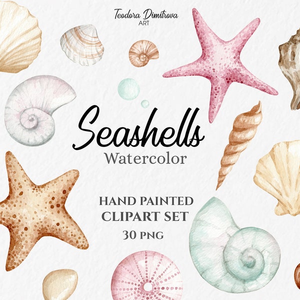 Watercolor Tropical Clipart Seashells PNG | Hand Painted Clipart Under the Sea | Digital Download | Summer Clipart | Beach Wedding Clipart