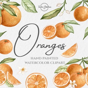 Oranges Watercolor Clipart Set | Hand Painted Watercolor Orange Fruits Clipart | Mediterranean Art PNG Food Clipart | Summer Wedding Clipart