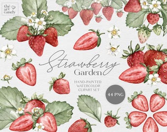 Conjunto de clipart de aquarela de morango | Clipart de frutas de morango pintado à mão em aquarela | Pacote de clipart de comida PNG | Clipart de casamento de verão