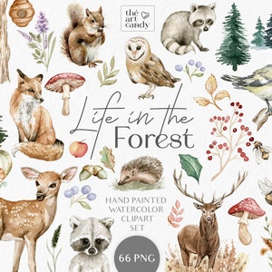 Pacchetto di clipart acquerello animali del bosco / animali della foresta PNG + clipart di alberi invernali, montagne, fiori, funghi / autunno nei boschi