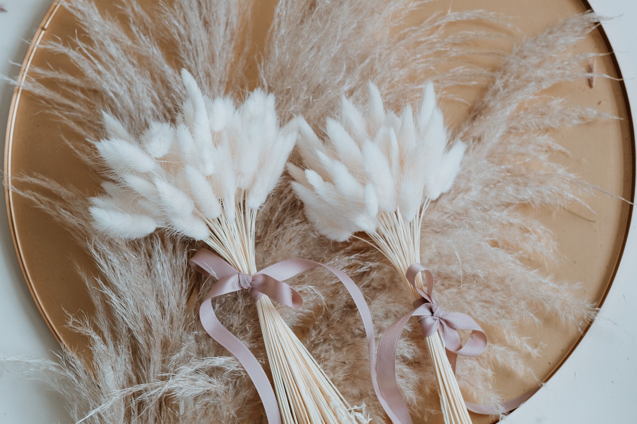 Dried Florals Bunny Tails Lagurus Grass 50100 Stems Etsy UK