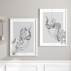 May include: Two black and white illustrations of leopards in a jungle setting. The leopards are drawn in a realistic style and are shown in different poses. The illustrations are framed in white frames and are hung on a light grey wall.