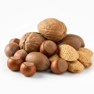 May include: A collection of assorted whole nuts including a large textured walnut, smooth brown hazelnuts, elongated pecans with a dark brown shell, and light tan almonds with a porous, pitted surface, all piled together against a white background.