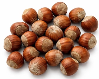 May include: A collection of whole hazelnuts with smooth, light brown shells and textured, pale tan tips. The nuts are arranged in a loose cluster, displaying their rounded shapes and natural variations in color and size across the group.