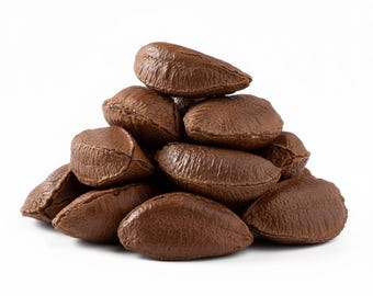 Whole Brazil Nuts In-Shell – Raw, Fresh & Pure Crunch