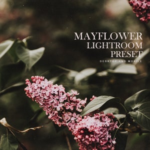 Mayflower- Desktop&Mobile Vintage Film Lightroom Preset Moody Editing - One Click Photographer Editing Tools | Rich Tones Preset