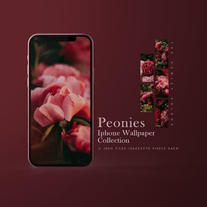 Peonie - Sfondi iPhone di alta qualità / Sfondi estetici iPhone / Sfondo telefono floreale