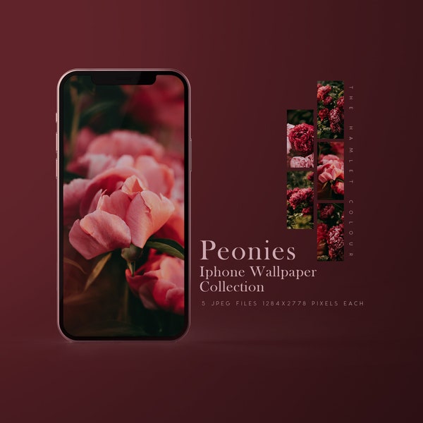 Peonies - High Quality Iphone Wallpapers | Aesthetic Wallpaper iPhone | Floral Phone Background