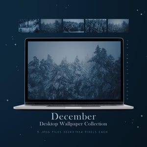 May include: A laptop computer displaying a collection of five winter forest desktop wallpapers. The wallpapers feature a snowy forest with tall trees and a blue-grey color scheme. The text on the screen reads "December Desktop Wallpaper Collection 5 JPEG FILES 3024x1964 PIXELS EACH".