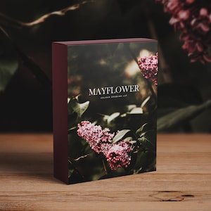 Mayflower- Colour Grading LUT Vintage Film Premiere Pro Final Cut  Moody Editing - One Click Filmmaking Editing Tools