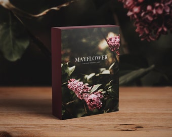 Mayflower- Colour Grading LUT Vintage Film Premiere Pro Final Cut  Moody Editing - One Click Filmmaking Editing Tools