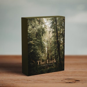 The Lark- Colour Grading LUT Vintage Film Premiere Pro Final Cut  Moody Editing - One Click Filmmaking Editing Tools