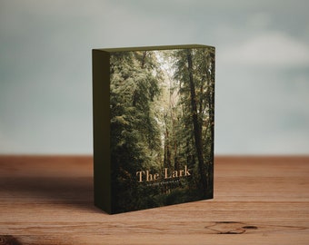The Lark- Colour Grading LUT Vintage Film Premiere Pro Final Cut  Moody Editing - One Click Filmmaking Editing Tools