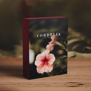 Cordelia- Colour Grading LUT Vintage Film Premiere Pro Final Cut  Moody Editing - One Click Filmmaking Editing Tools
