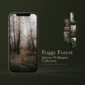 May include: A collection of 5 foggy forest iPhone wallpapers. Each image features a path through a misty forest with tall trees. The text "Foggy Forest iPhone Wallpaper Collection" is displayed below the images.