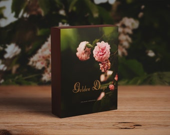 Golden Days- Colour Grading LUT Vintage Film Premiere Pro Final Cut  Moody Editing - One Click Filmmaking Editing Tools