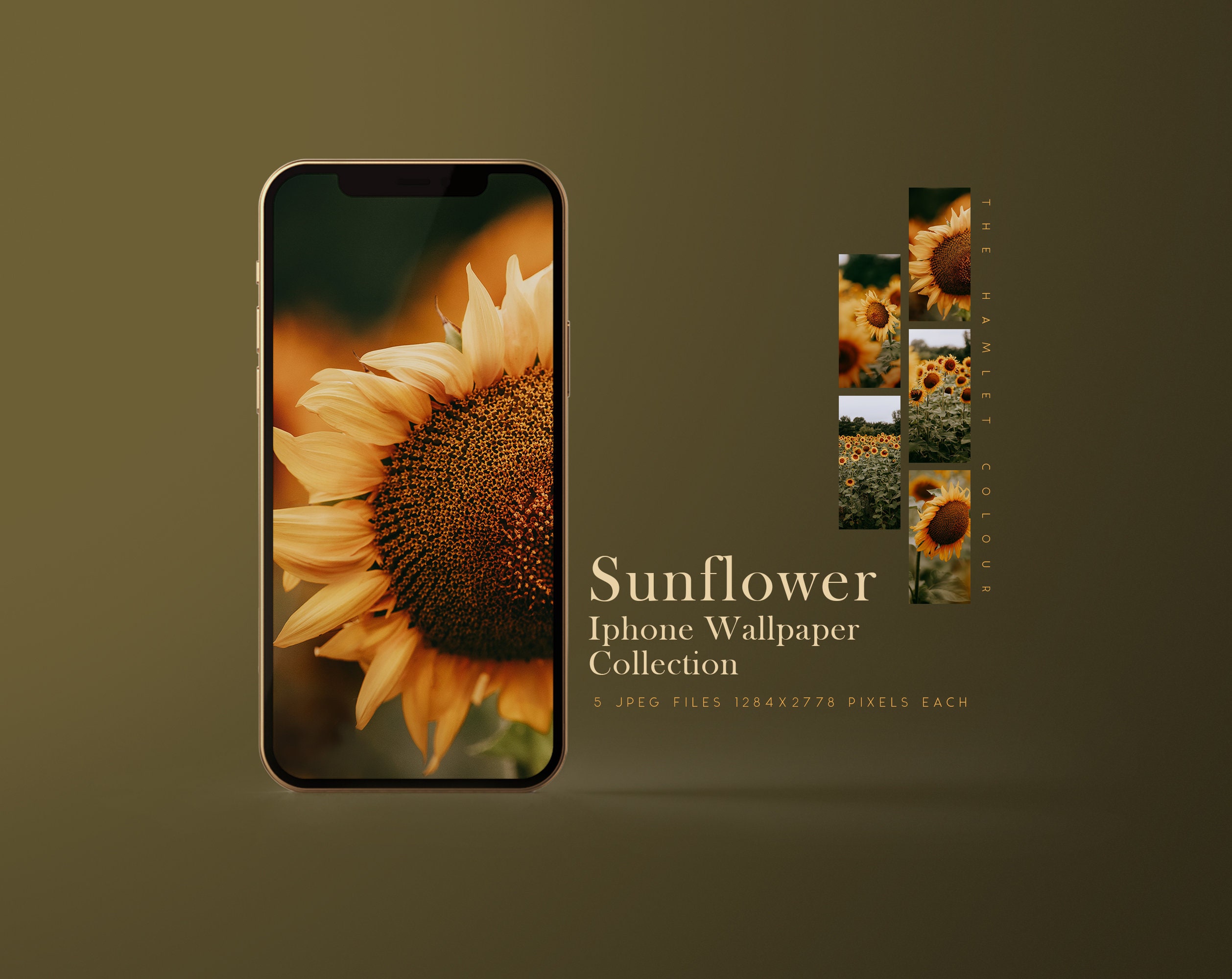 Iphone Sunflower Black Wallpaper Download | MobCup