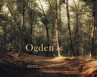 Ogden - Desktop&Mobile Cinematic Vintage Autumn Lightroom Preset - Moody Faded Photo Filter | Travel Teal and Orange Preset