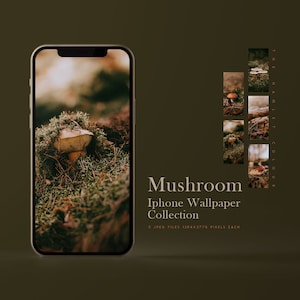 Collezione di funghi - Sfondi per iPhone di alta qualità / Sfondi estetici per iPhone / Sfondo per telefono foresta