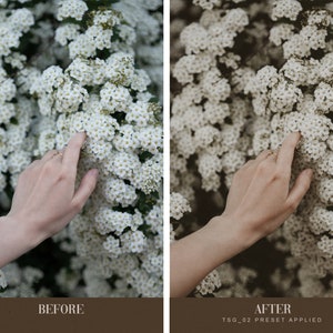 May include: A hand reaches out to touch a cluster of delicate white flowers. The flowers are in full bloom and create a soft, romantic feel.