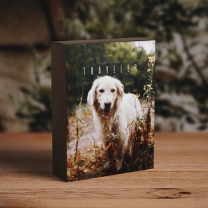 Traveler- Colour Grading LUT Vintage Film Premiere Pro Final Cut  Moody Editing - One Click Filmmaking Editing Tools