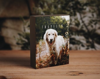 Traveler- Colour Grading LUT Vintage Film Premiere Pro Final Cut  Moody Editing - One Click Filmmaking Editing Tools