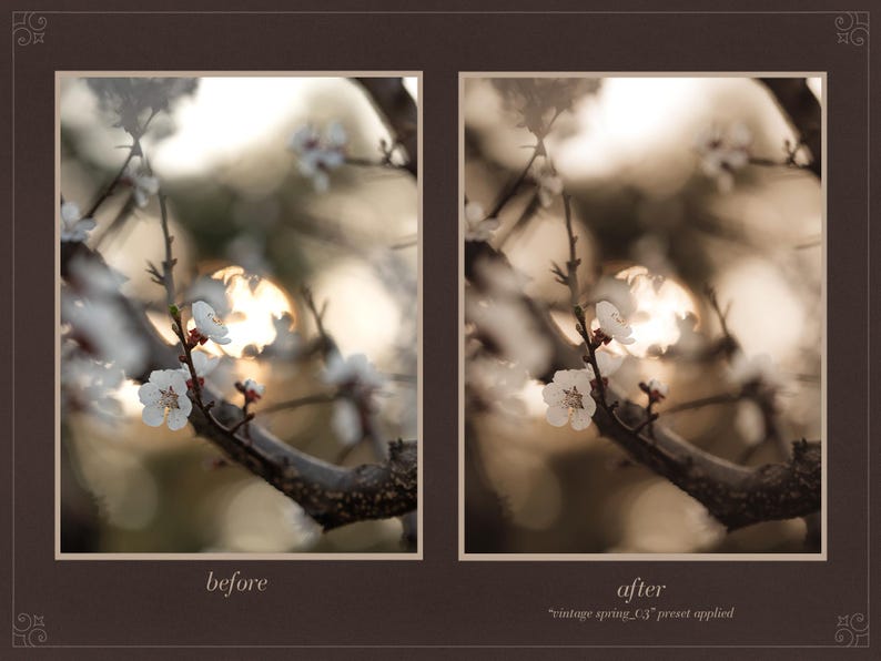 Vintage Spring- Desktop&mobile Vintage Film Lightroom Preset - Moody ...