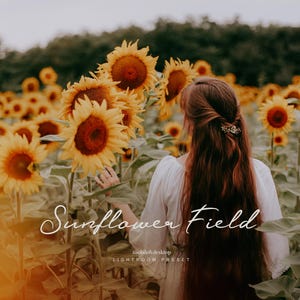 Sunflower Field- Desktop&Mobile Vintage Film Lightroom Preset Moody Editing - One Click Photographer Editing Tools