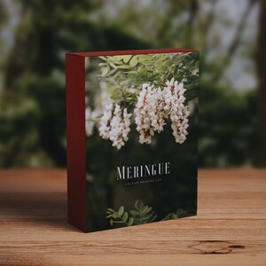 Meringue- Colour Grading LUT Vintage Film Premiere Pro Final Cut  Moody Editing - One Click Filmmaking Editing Tools | Affinity Photo