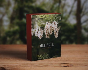 Merengue- Corrección de color LUT Vintage Film Premiere Pro Final Cut Moody Editing - Herramientas de edición cinematográfica con un solo clic / Affinity Photo