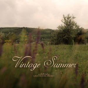 May include: A tranquil landscape photograph showing a field of long grass and wildflowers, with trees and a cloudy sky in the background. The words "Vintage Summer" are scripted across the image, with "mobile & desktop" and "LIGHTROOM PRESET" below.