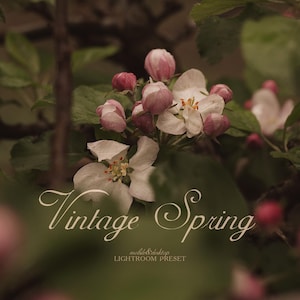 May include: Close-up of pink and white apple blossoms in bloom on a branch. The flowers are delicate and have a vintage feel. The text "Vintage Spring" is superimposed on the image.