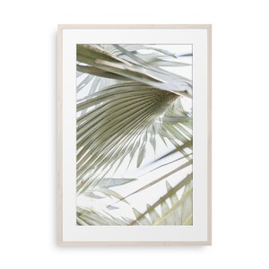 Palm Leaf Flower Photography Art Print, Green Tropical Leaves Print, Abstract Plant Photography, Framed Palm Leaves Wall Art