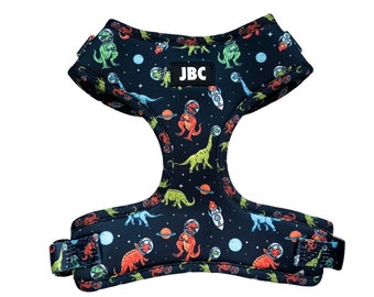 Dinosaur Space Dog Harness Set, No Pull Adjustable Harness with Matching Leash, Collar, and Bow, Cute Astronaut Dino Print