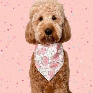 Op de afbeelding: Een bruine en witte hond die een roze bandana draagt met een wit en roze koekjespatroon. De bandana heeft een roze rand.