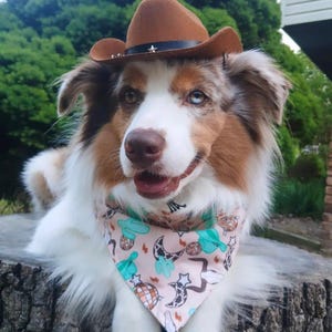 Westerncowboybandana voor honden en katten met drukknoop voor veilige pasvorm -- Bijpassende scrunchie beschikbaar