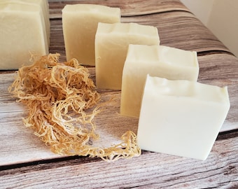 Handmade Sea Moss Soap, Vegan Eczema Relief, Botanical Artisan Soap