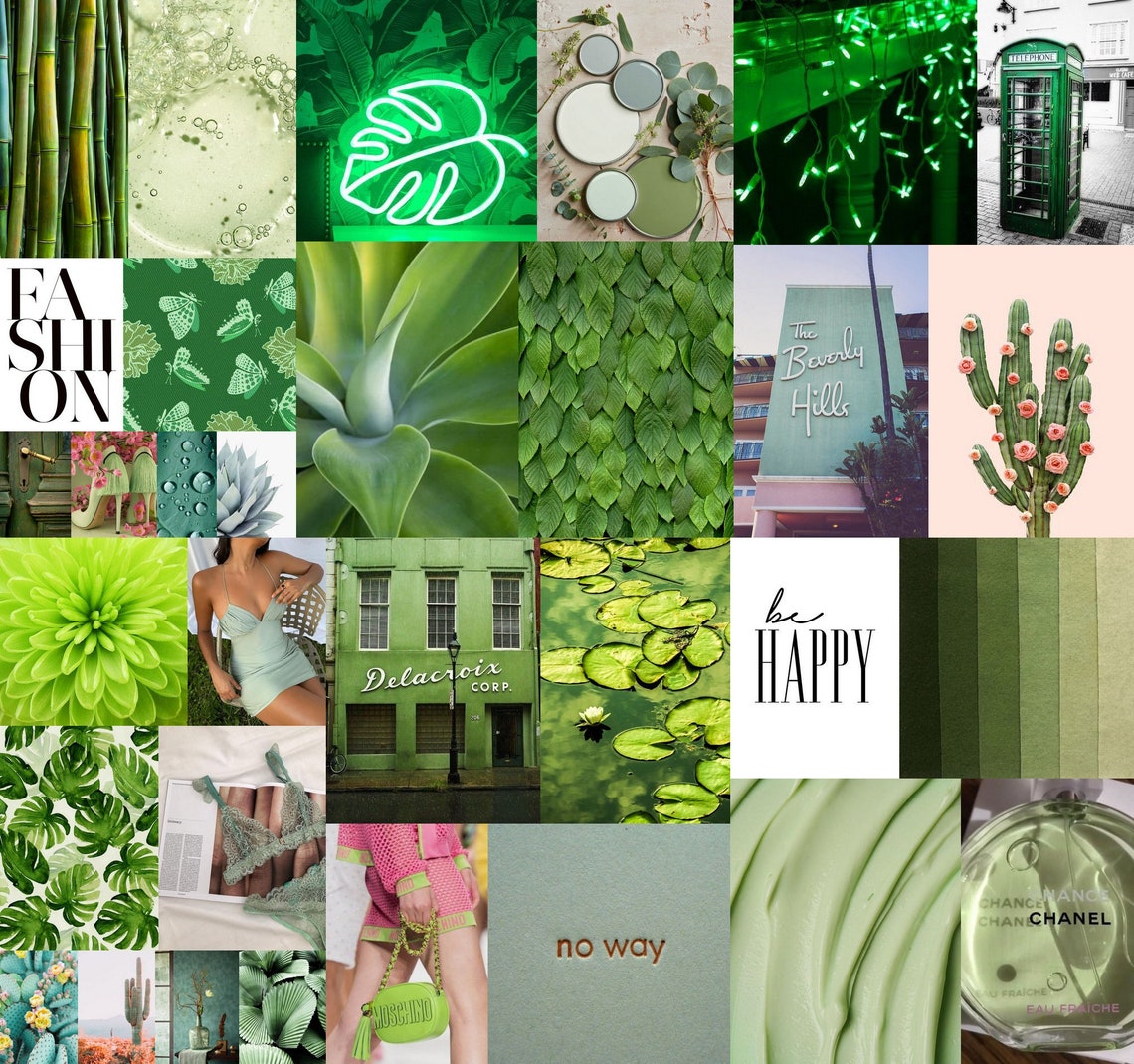 Green Aesthetic Wall Collage Kit 70 Piezas tonos verdes cactus Etsy