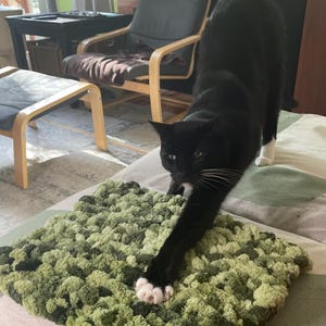 Puede incluir: Un gato blanco y negro se estira sobre una alfombra mullida verde y marrón. El gato tiene patas blancas y una mancha blanca en el pecho.