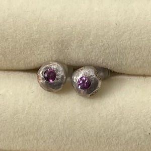 May include: A pair of silver earrings with small purple gemstones set in the center of each earring.